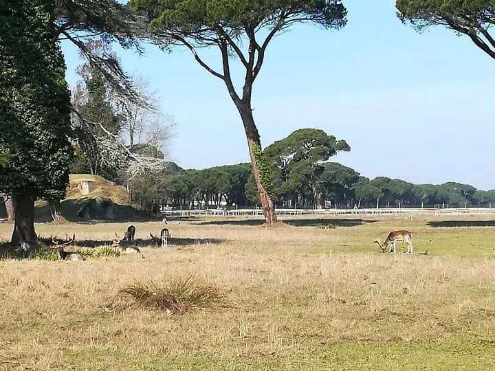 I Levrieri Venezia Apartamento Torre do Lago Puccini